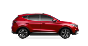 MG-zs